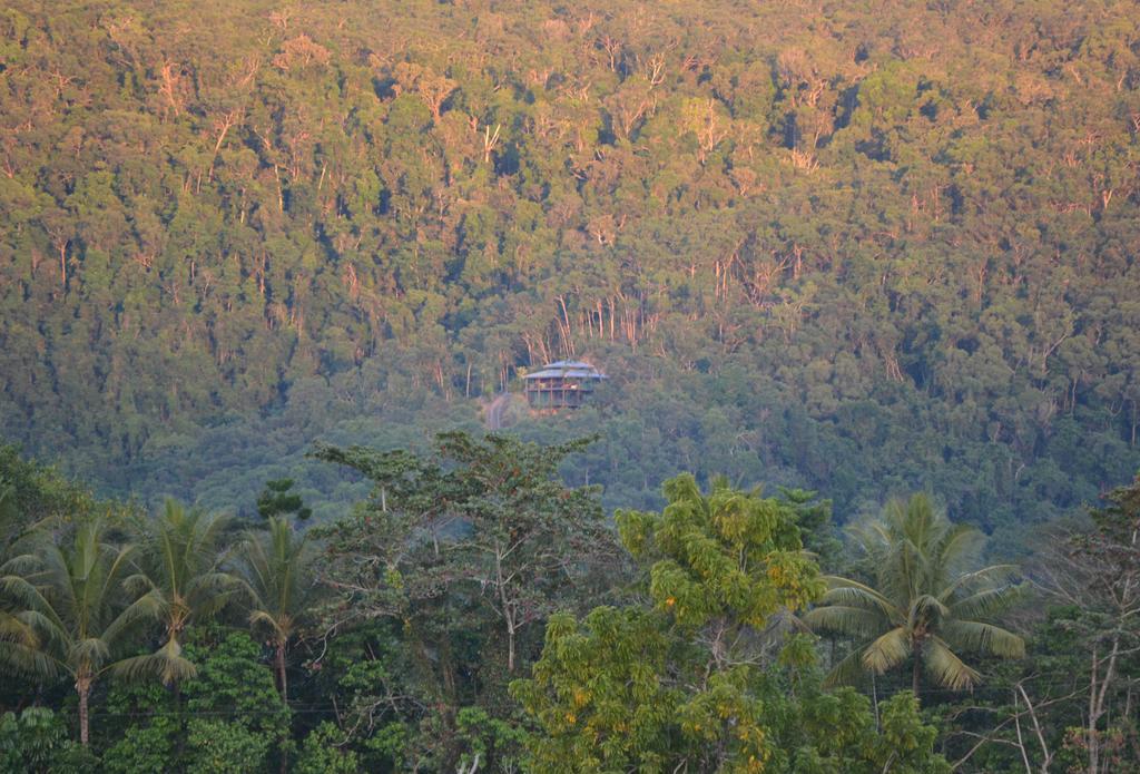 Cloud 9 Villa Daintree Eksteriør billede
